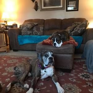 Meet your Posher, Mary